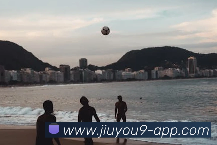 App Interface Preview